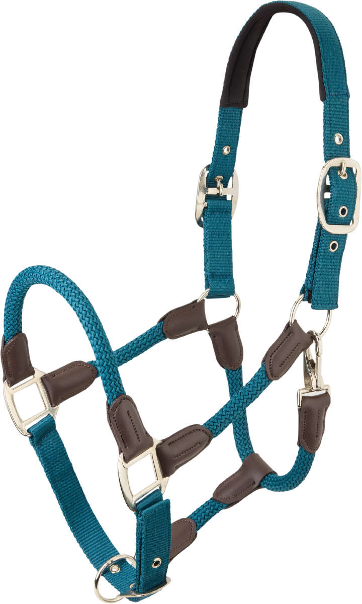 KANTRIE Halfter Texas